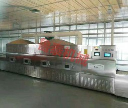 微波烘干滅 菌設備